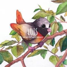 ebook: Luis und sein erstes großes Abenteuer