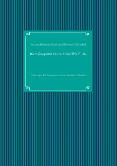 eBook: Bachs Solopartita Nr.1 in h-Moll BWV1002