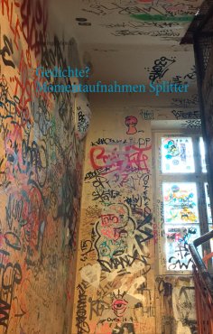 ebook: Gedichte? Momentaufnahmen Splitter