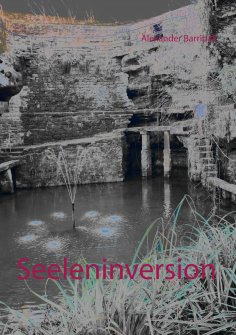 ebook: Seeleninversion