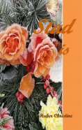 eBook: Stad is