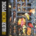 ebook: Bilder meiner Psyche
