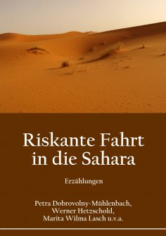eBook: Riskante Fahrt in die Sahara