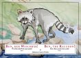 eBook: Ben, der Waschbär!