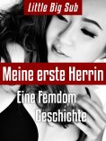 eBook: Meine erste Herrin