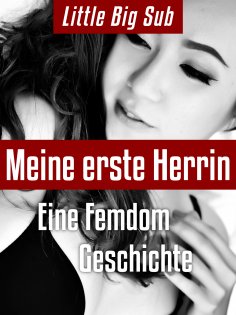 eBook: Meine erste Herrin