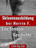 ebook: Sklavenausbildung bei Herrin F.