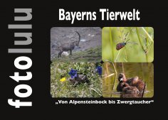 eBook: Bayerns Tierwelt