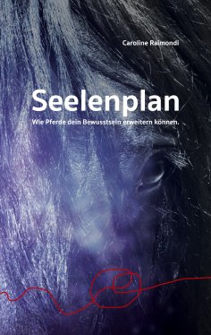 ebook: Seelenplan