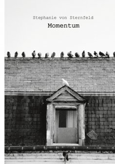 ebook: Momentum