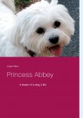 eBook: Princess Abbey