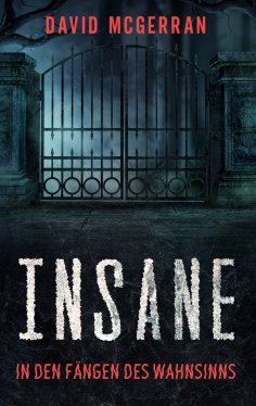 eBook: Insane - In den Fängen des Wahnsinns