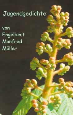 ebook: Jugendgedichte