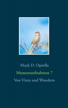 eBook: Momentaufnahmen 7