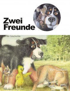 ebook: Verlaufen