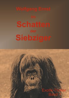 eBook: Im Schatten der Siebziger Band 1