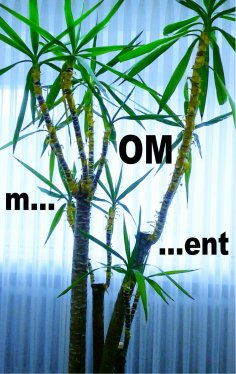 ebook: m...OM...ent