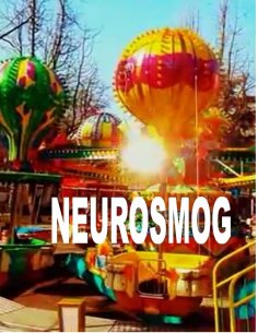 eBook: Neurosmog