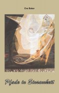 ebook: Pfade in Einsamkeit