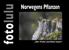 eBook: Norwegens Pflanzen