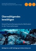 eBook: Überwältigendes bewältigen