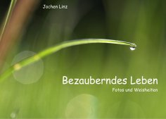 eBook: Bezauberndes Leben