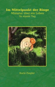 ebook: Im Mittelpunkt der Ringe
