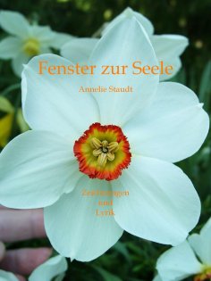 ebook: Fenster zur Seele