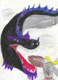 ebook: Der schwarze Drache von Neustift-Innermanzing