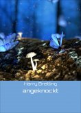 eBook: angeknockt
