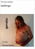 ebook: Zwillinge