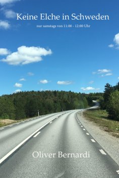 eBook: Keine Elche in Schweden