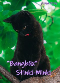 ebook: Bangbüx "Stinki-Minki"