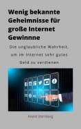ebook: Wenig bekannte Geheimnisse für große Internet Gewinne