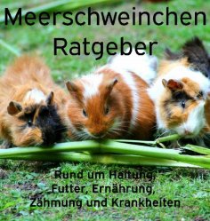 ebook: Meerschweinchen Ratgeber.