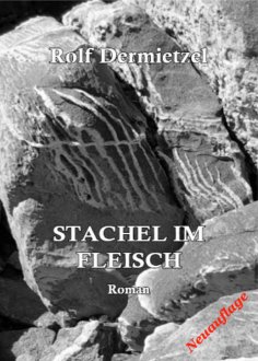 ebook: Stachel im Fleisch