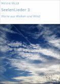 eBook: SeelenLieder 3