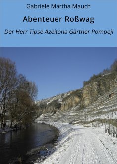 eBook: Abenteuer Roßwag