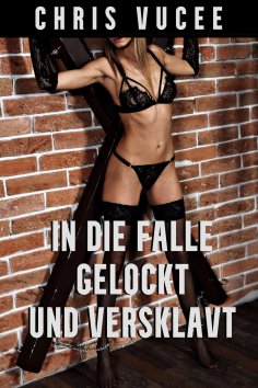 eBook: In die Falle gelockt und versklavt