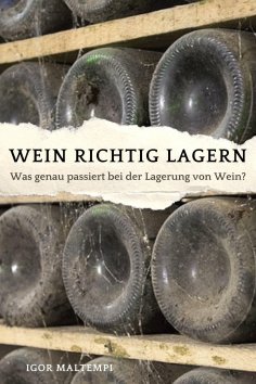 ebook: Wein richtig lagern