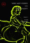 ebook: In der Videokabine