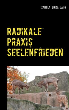 eBook: Radikale Praxis Seelenfrieden