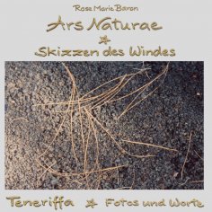 ebook: Ars Naturae Skizzen des Windes