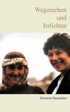 eBook: Wegzeichen und Irrlichter