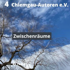 eBook: Zwischenräume