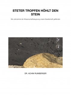 ebook: Steter Tropfen höhlt den Stein