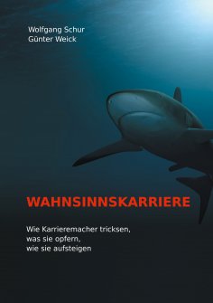 eBook: Wahnsinnskarriere
