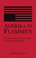 ebook: Amerika in Flammen