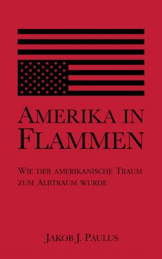 ebook: Amerika in Flammen
