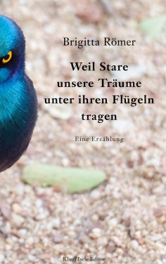 eBook: Weil Stare unsere Träume unter ihren Flügeln tragen